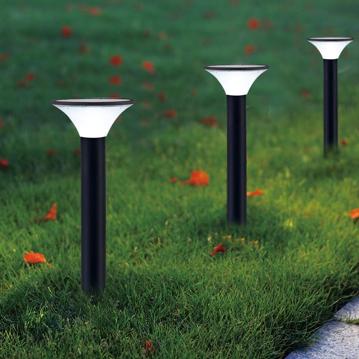 Round lamp forms along a lawn edge in a placement illustration.