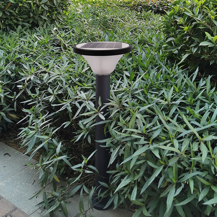 Round-top bollard among planting, illustrative setting (illustration).