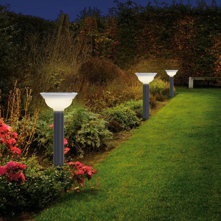 Pale-rim bowl-shaped lamp garden-border placement illustration.