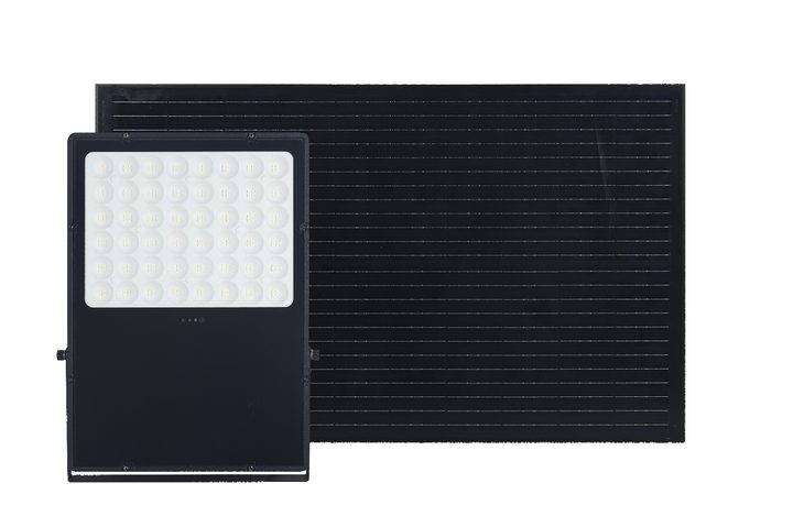 Floodlight and separate solar panel.